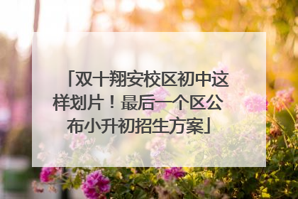 双十翔安校区初中这样划片！最后一个区公布小升初招生方案