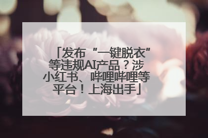 发布“一键脱衣”等违规AI产品？涉小红书、哔哩哔哩等平台！上海出手
