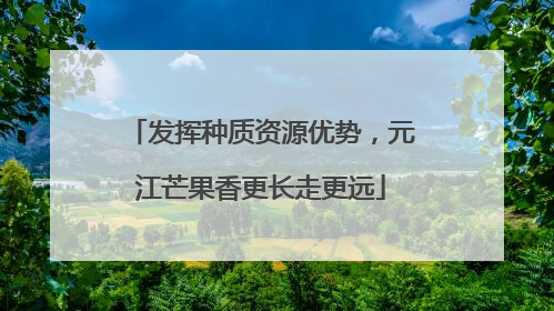 发挥种质资源优势，元江芒果香更长走更远
