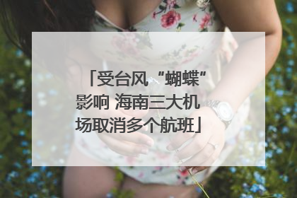 受台风“蝴蝶”影响 海南三大机场取消多个航班