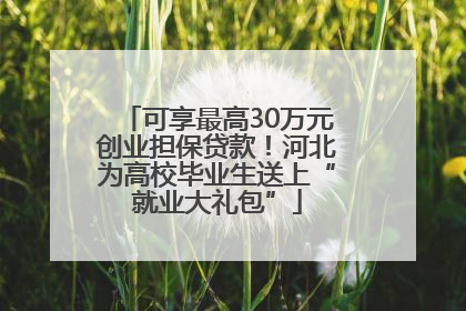 可享最高30万元创业担保贷款！河北为高校毕业生送上“就业大礼包”