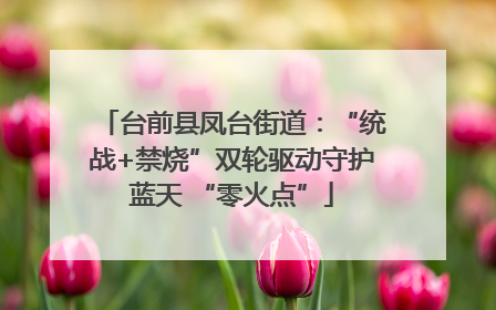 台前县凤台街道：“统战+禁烧”双轮驱动守护蓝天 “零火点”