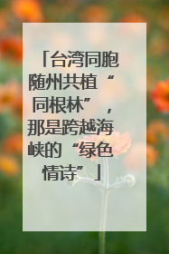 台湾同胞随州共植“同根林”，那是跨越海峡的“绿色情诗”