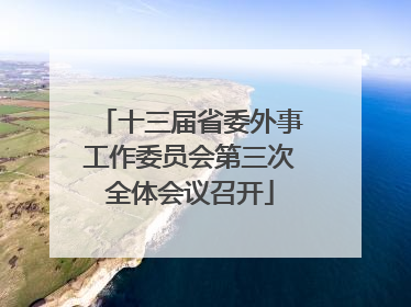 十三届省委外事工作委员会第三次全体会议召开