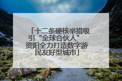 十二条硬核举措吸引“全球合伙人” 资阳全力打造数字游民友好型城市
