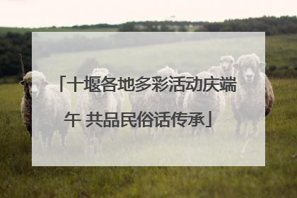 十堰各地多彩活动庆端午 共品民俗话传承
