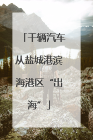 千辆汽车从盐城港滨海港区“出海”