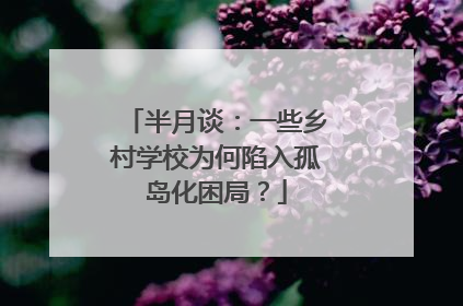 半月谈：一些乡村学校为何陷入孤岛化困局？