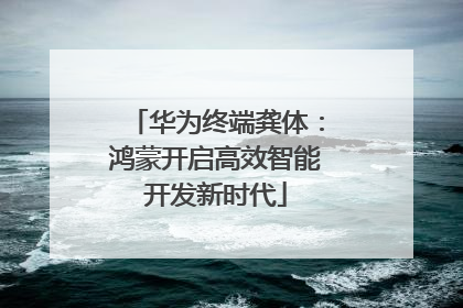 华为终端龚体：鸿蒙开启高效智能开发新时代