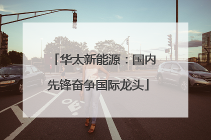 华太新能源：国内先锋奋争国际龙头