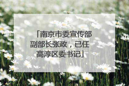 南京市委宣传部副部长张政，已任高淳区委书记