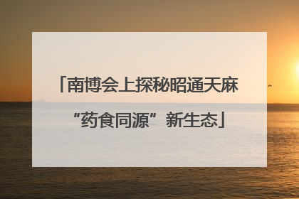 南博会上探秘昭通天麻“药食同源”新生态
