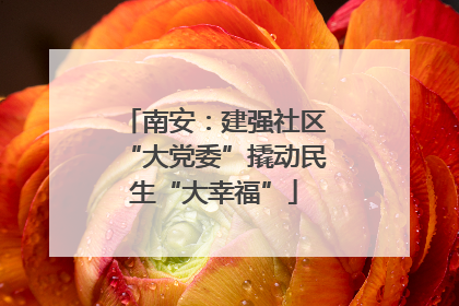 南安：建强社区“大党委”撬动民生“大幸福”