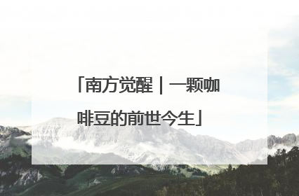 南方觉醒｜一颗咖啡豆的前世今生
