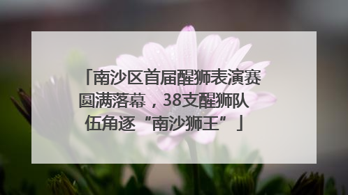南沙区首届醒狮表演赛圆满落幕，38支醒狮队伍角逐“南沙狮王”