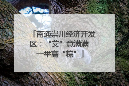 南通崇川经济开发区：“艾”意满满 一举高“粽”
