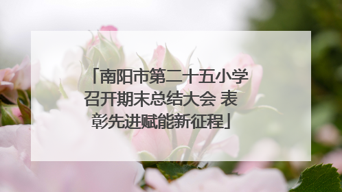 南阳市第二十五小学召开期末总结大会 表彰先进赋能新征程