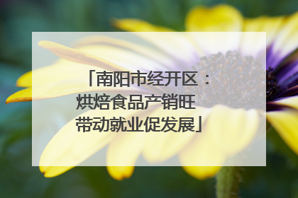 南阳市经开区：烘焙食品产销旺 带动就业促发展