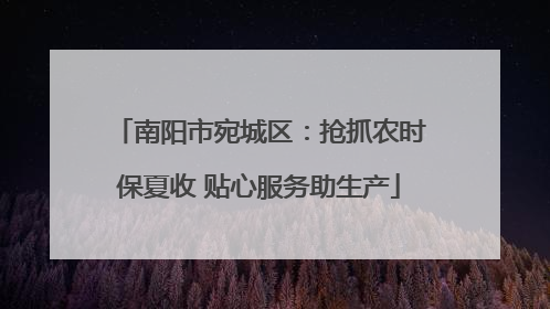 南阳市宛城区：抢抓农时保夏收 贴心服务助生产