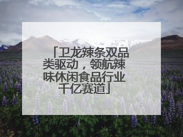 卫龙辣条双品类驱动，领航辣味休闲食品行业千亿赛道