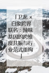 卫龙 × 白象跨界联名：辣味基因的跨维度共振与行业范式重构