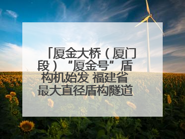 厦金大桥(厦门段)“厦金号”盾构机始发 福建省最大直径盾构隧道正式掘进