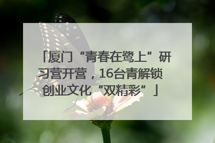 厦门“青春在鹭上”研习营开营，16台青解锁创业文化“双精彩”