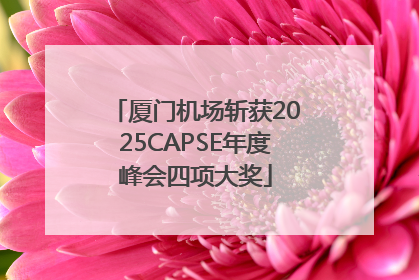 厦门机场斩获2025CAPSE年度峰会四项大奖