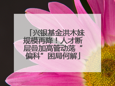 兴银基金洪木妹规模再降！人才断层叠加高管动荡“偏科”困局何解