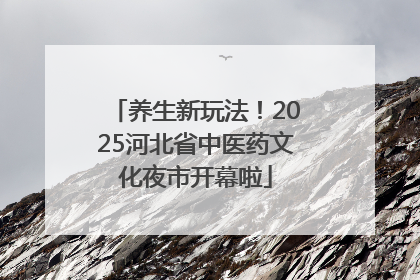 养生新玩法！2025河北省中医药文化夜市开幕啦