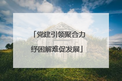 党建引领聚合力 纾困解难促发展