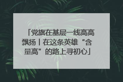 党旗在基层一线高高飘扬丨在这条英雄“含量高”的路上寻初心