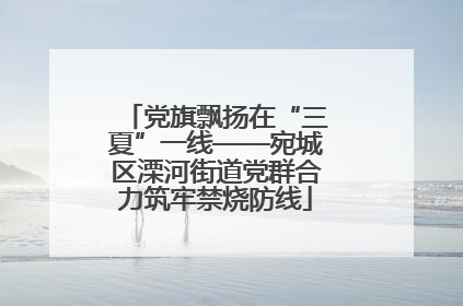 党旗飘扬在“三夏”一线——宛城区溧河街道党群合力筑牢禁烧防线