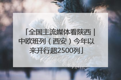 全国主流媒体看陕西｜中欧班列（西安）今年以来开行超2500列