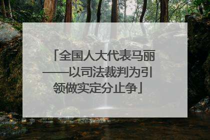 全国人大代表马丽——以司法裁判为引领做实定分止争
