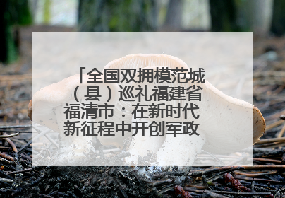 全国双拥模范城（县）巡礼福建省福清市：在新时代新征程中开创军政军民团结新局面
