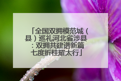 全国双拥模范城（县）巡礼河北省涉县：双拥共建谱新篇 七度折桂耀太行