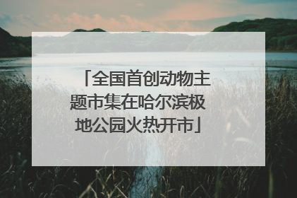 全国首创动物主题市集在哈尔滨极地公园火热开市