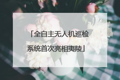 全自主无人机巡检系统首次亮相夷陵