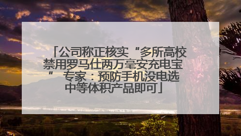 公司称正核实“多所高校禁用罗马仕两万毫安充电宝” 专家：预防手机没电选中等体积产品即可