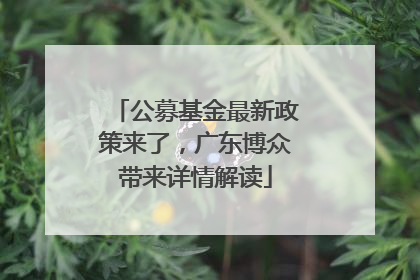 公募基金最新政策来了，广东博众带来详情解读