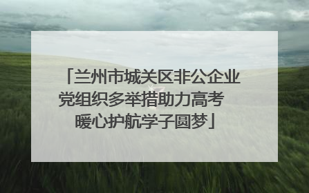 兰州市城关区非公企业党组织多举措助力高考 暖心护航学子圆梦