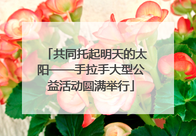 共同托起明天的太阳——手拉手大型公益活动圆满举行