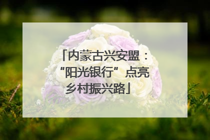 内蒙古兴安盟：“阳光银行”点亮乡村振兴路