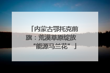 内蒙古鄂托克前旗：荒漠草原绽放“能源马兰花”