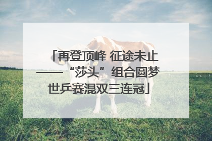再登顶峰 征途未止——“莎头”组合圆梦世乒赛混双三连冠