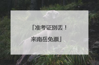 准考证别丢！来南岳免票
