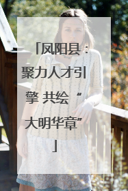 凤阳县：聚力人才引擎 共绘“大明华章”