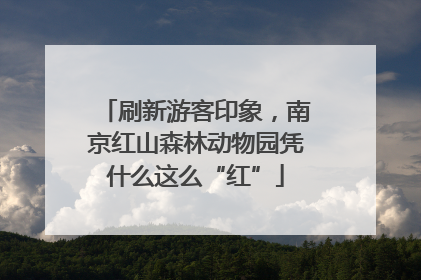 刷新游客印象，南京红山森林动物园凭什么这么“红”