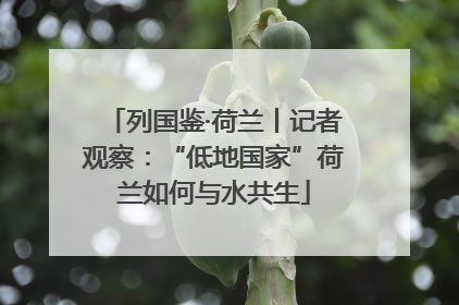 列国鉴·荷兰丨记者观察：“低地国家”荷兰如何与水共生
